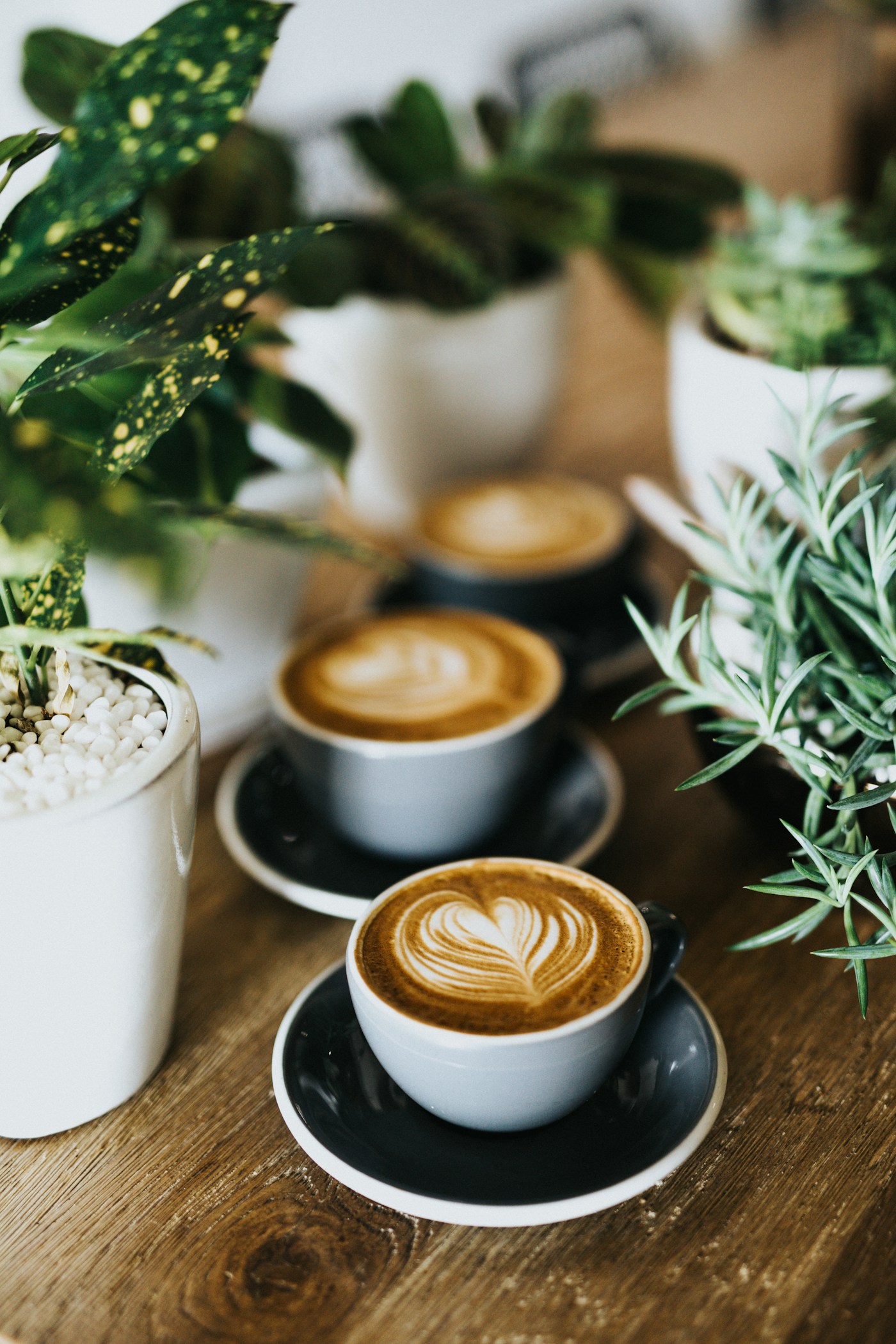 CoffeeCraft Hub studio space on Yates Street in Victoria, BC
